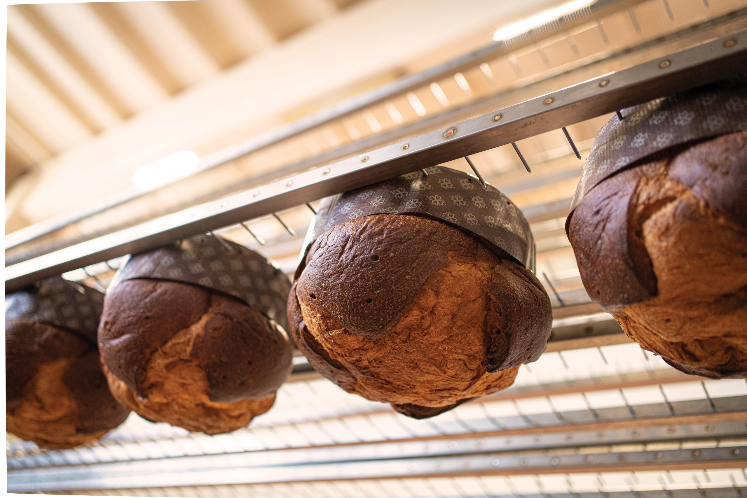 panettone_pyragas